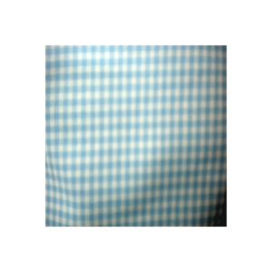 Tissu Vichy blue Petits VCP03