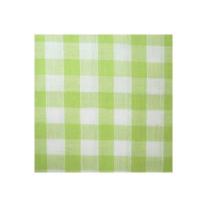 Tissu vichy vert moyens VCM07