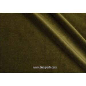 Velours de Coton olive 145cm 1977-5