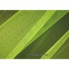 Tissu tulle doux nylon vert fluo 150cm 5433-8