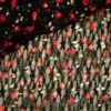 Dentelle avec des fleurs noir-rouge 135cm 901803-2